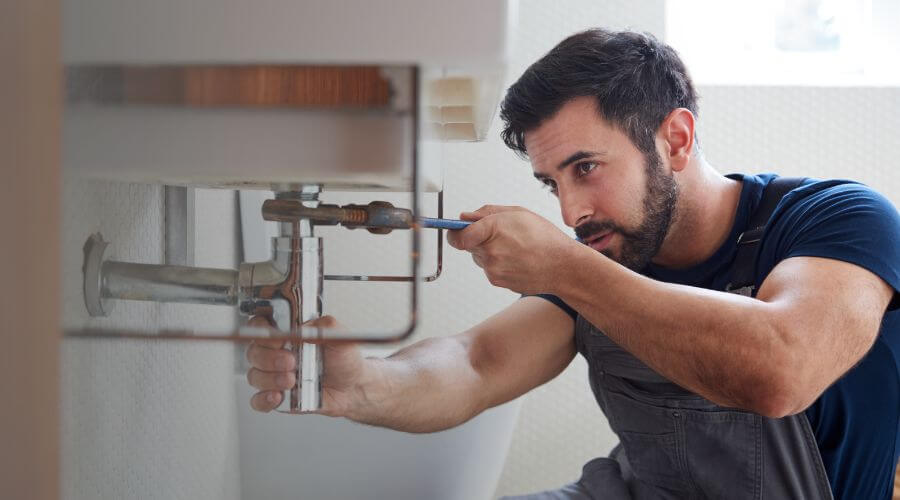 Trap Repair/Replacement in Martin, MI